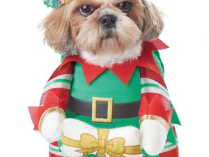 elf-pup-dog-costume